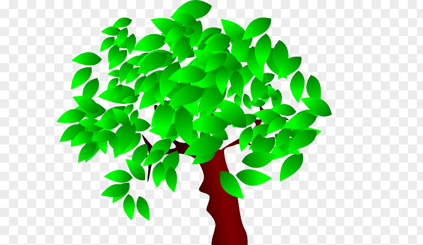 Engineered Wood Tree Branch Clip Art PNG