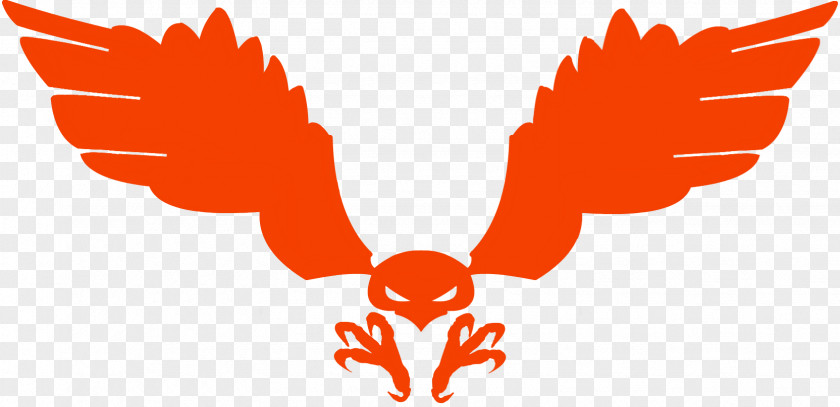 Hawk Red-tailed Symbol PNG