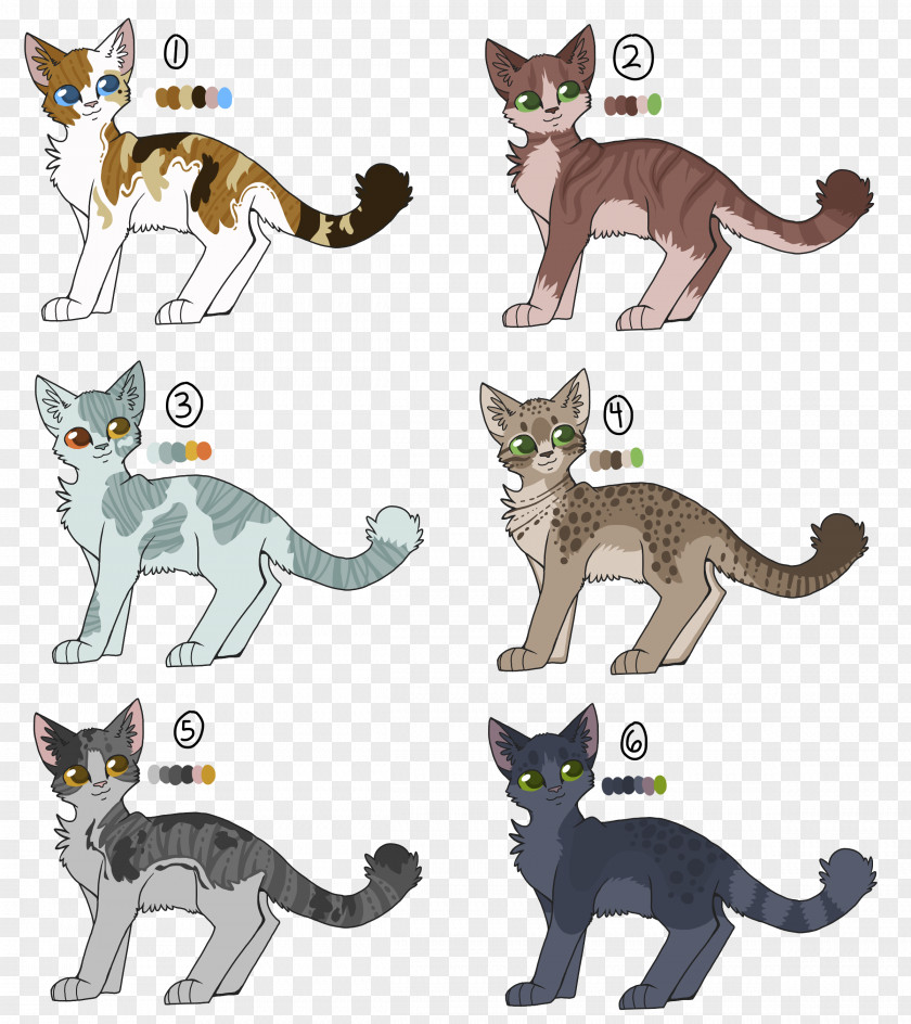 Kitten Domestic Short-haired Cat Whiskers PNG