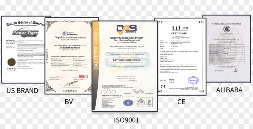 Qualification Certificate Paper Brand Font PNG