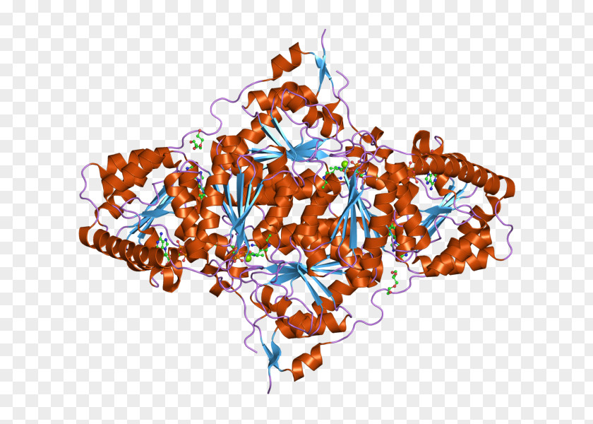 Thymidine Kinase From Herpesvirus Ganciclovir Antiviral Drug PNG
