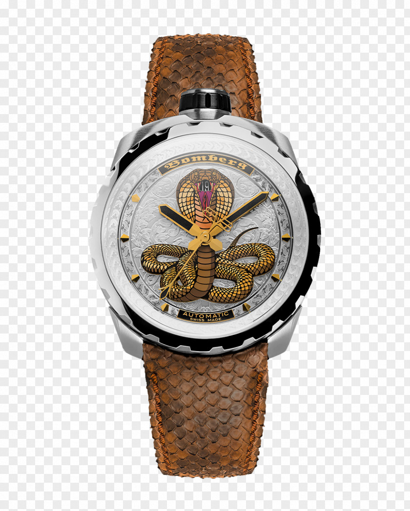 Watch Watchmaker Clock Baselworld Switzerland PNG