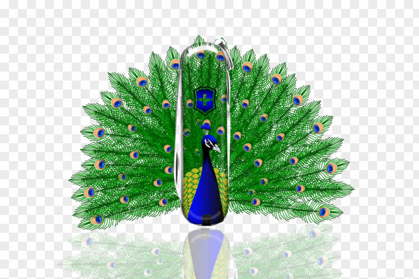 Creative Peacock Styling Products Peafowl Download Clip Art PNG