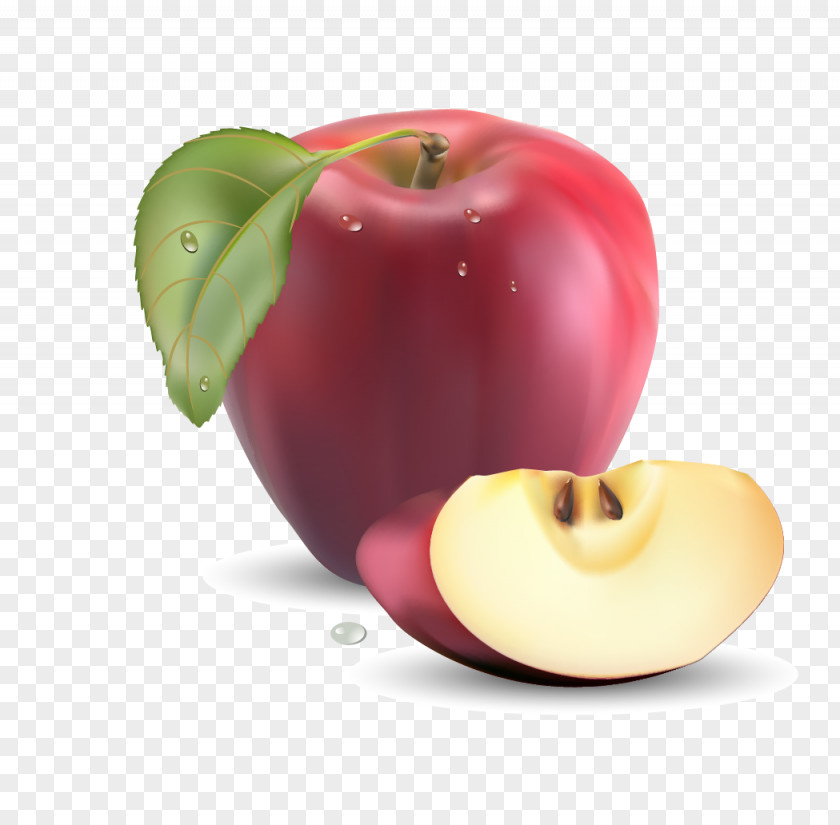 Free Apple Pull Pictures Fruit Realism Clip Art PNG