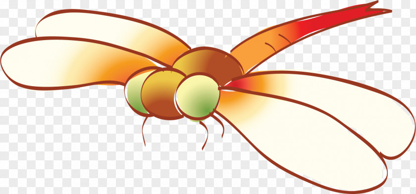 Hand-painted Dragonfly Odonate Child Insect Clip Art PNG