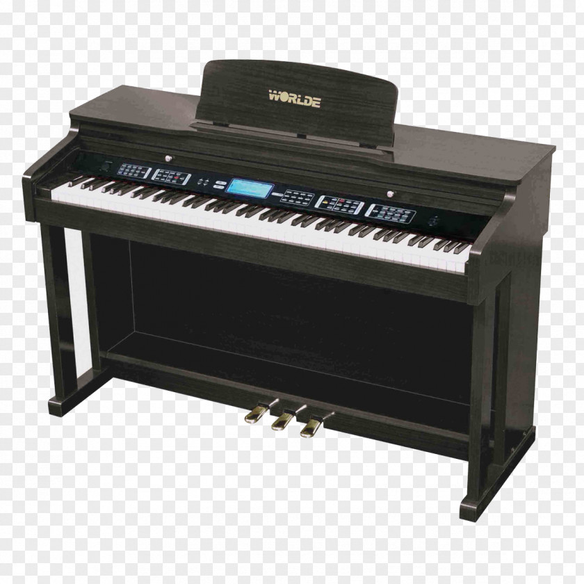 Keyboard Instruments Digital Piano Yamaha Corporation Electric PNG