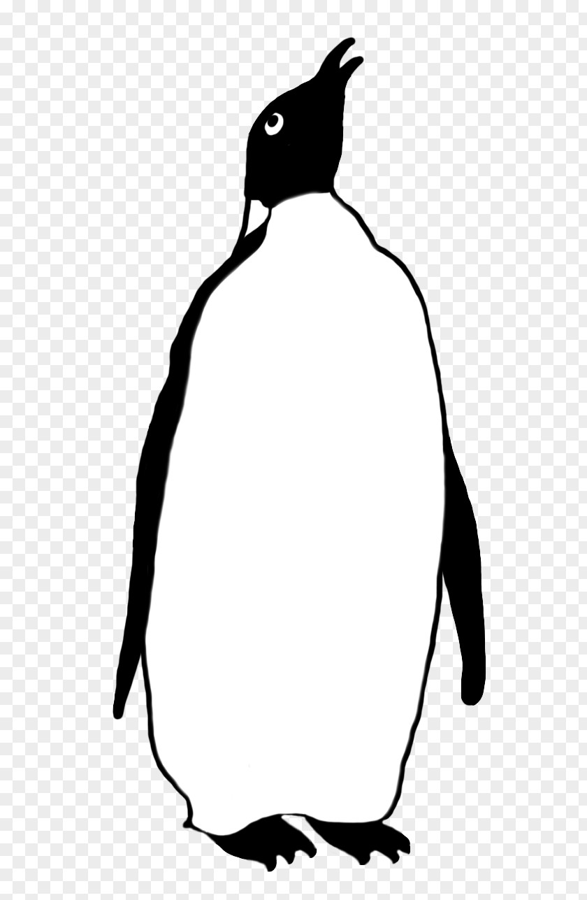 Penguins Emperor Penguin Bird Drawing Clip Art PNG