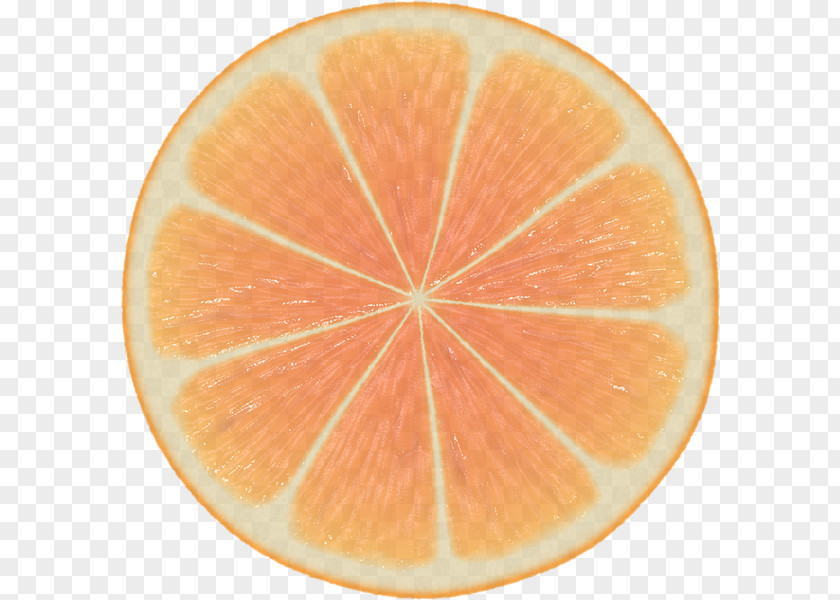 Plant Lemon Orange PNG