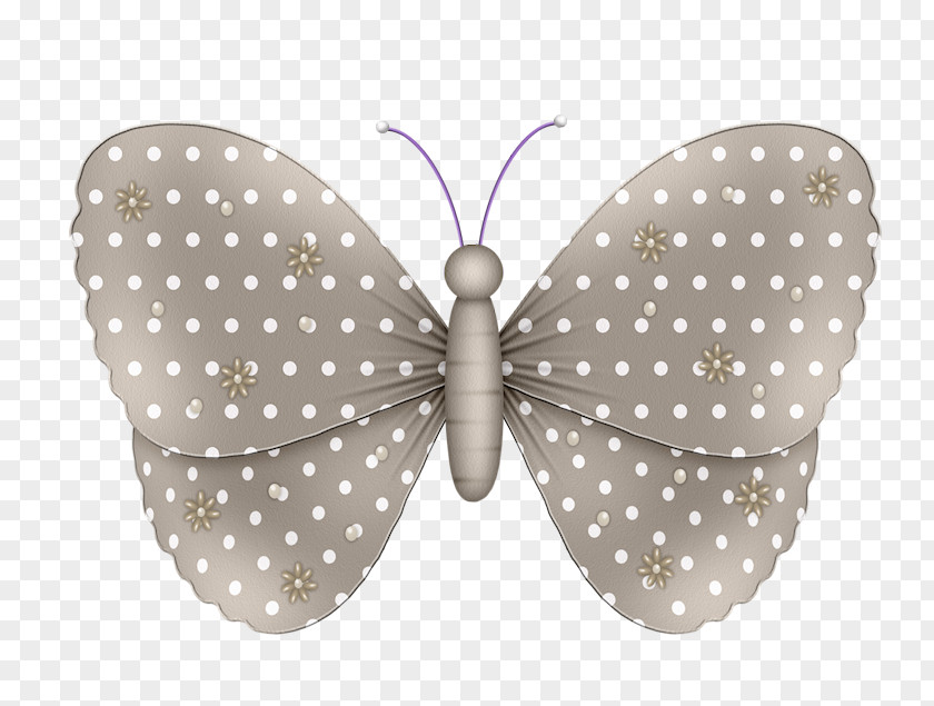 Butterfly Moth Drawing PNG