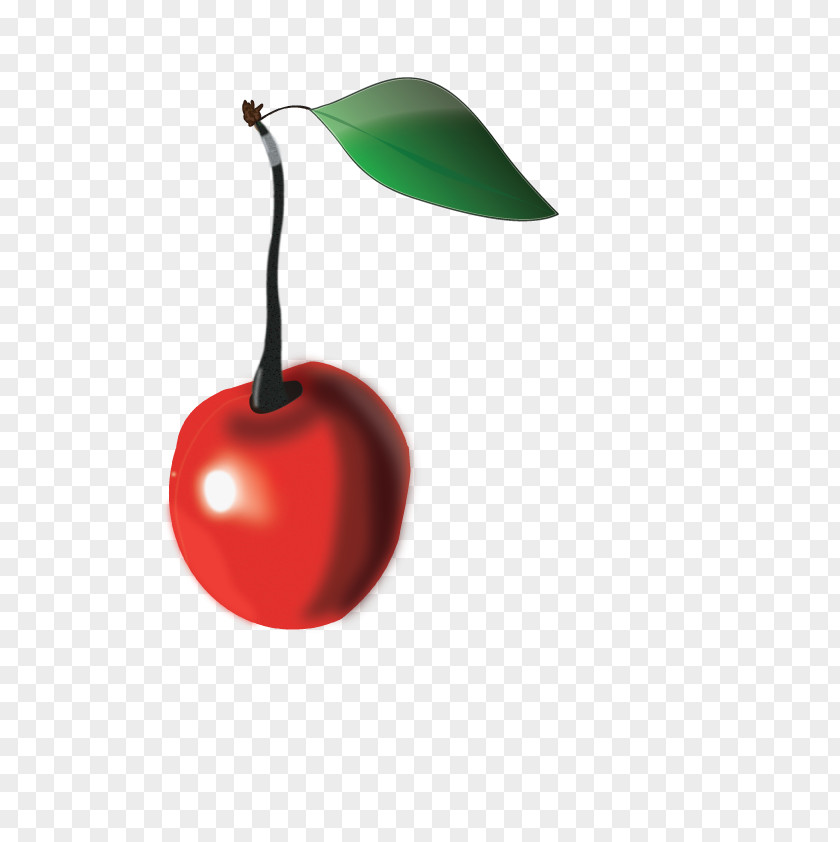 Cherry Drawing Production Artist PNG