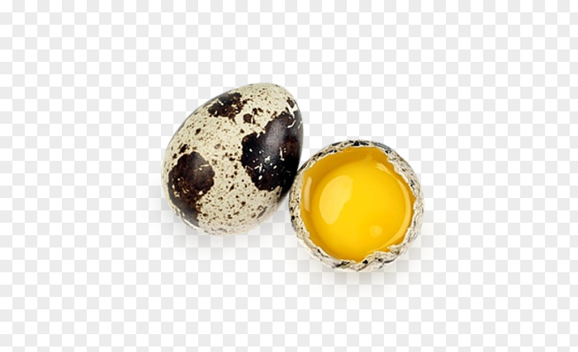 Egg Quail Eggs Common Nutrition PNG