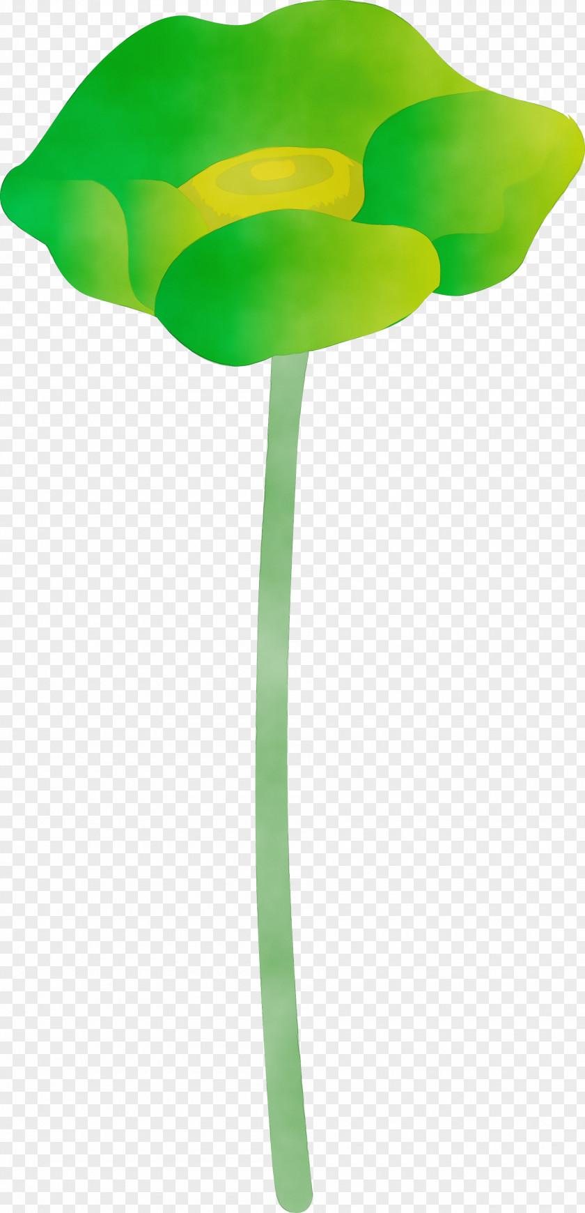 Green Leaf Tulip Plant Stem PNG
