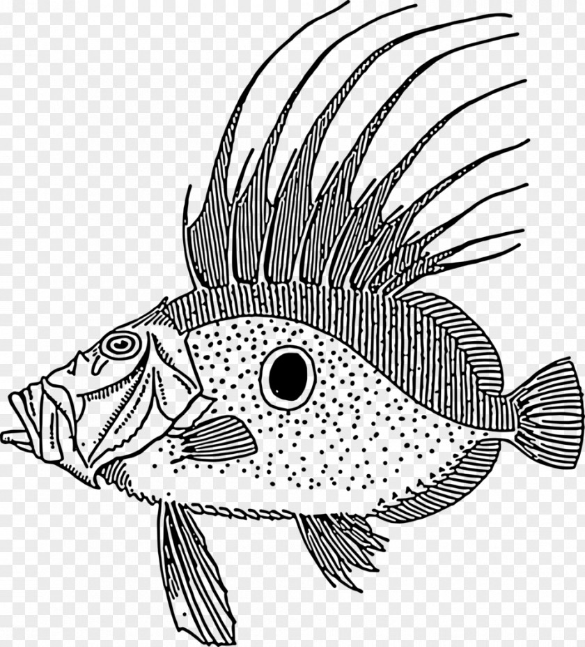 Ikan Drawing Fish Line Art Clip PNG