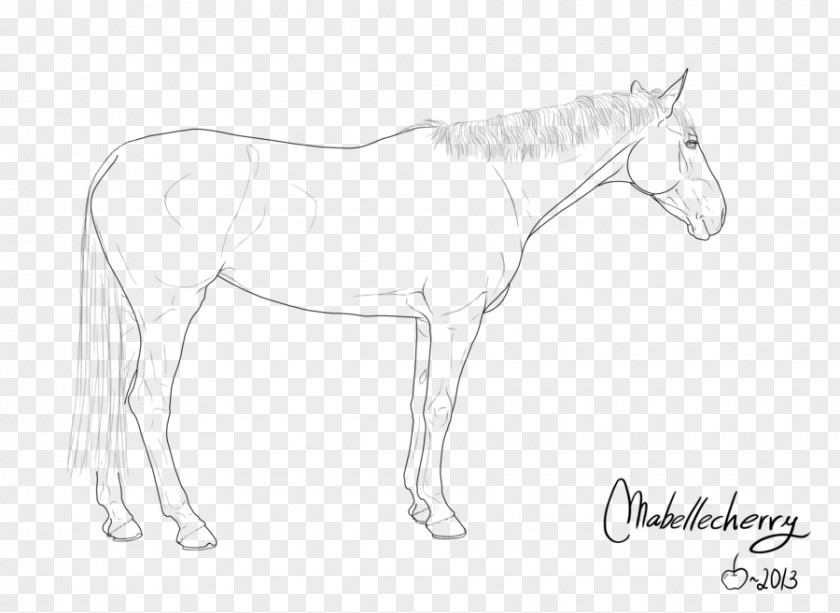 Mustang Mule Foal Bridle Stallion Colt PNG