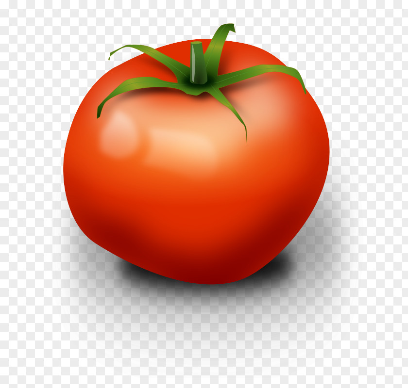 Photorealistic Tomato Clip Art PNG