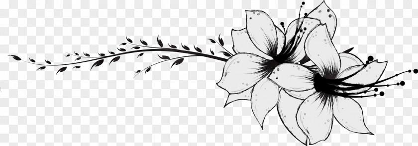 Black-and-white Plant Flower Petal Wildflower PNG