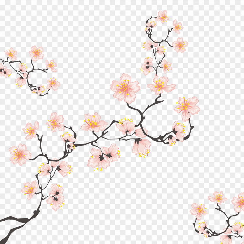 Cherry Blossoms Blossom Computer File PNG