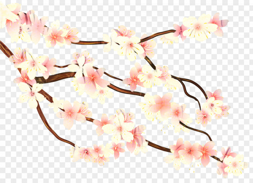 Clip Art Cherry Blossom Transparency PNG