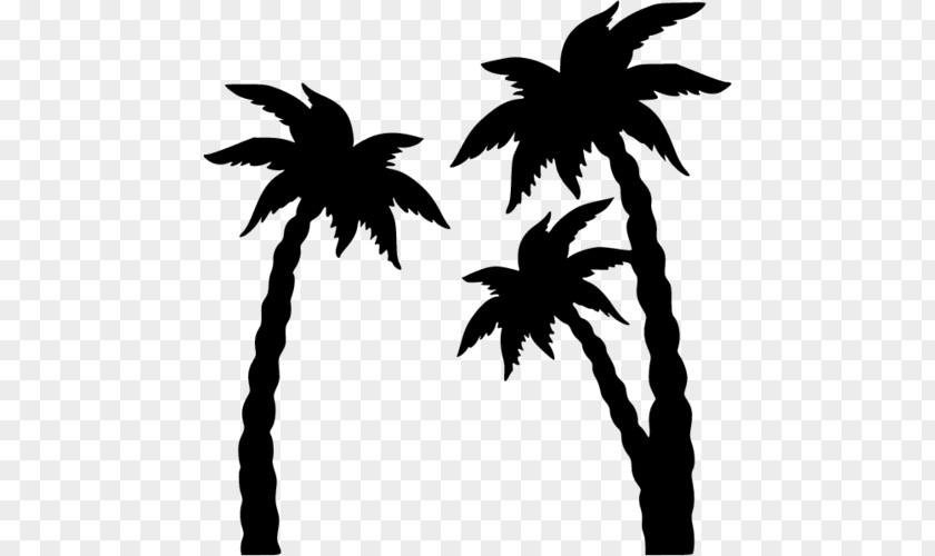 Coconut Arecaceae Clip Art PNG