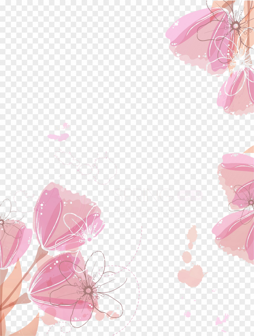 Pale Pink Tulip Picture Material PNG