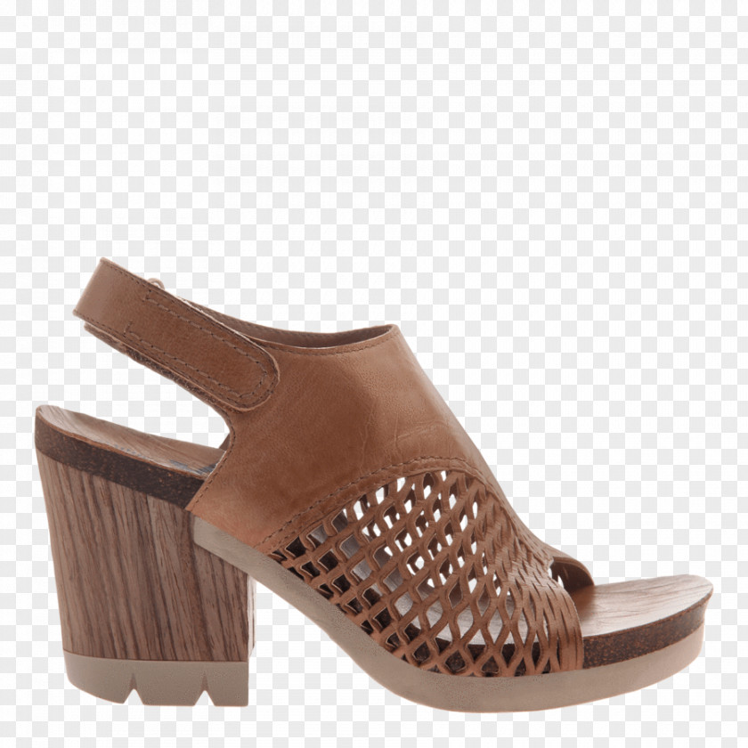 Sandal Wedge Shoe Fashion Sneakers PNG
