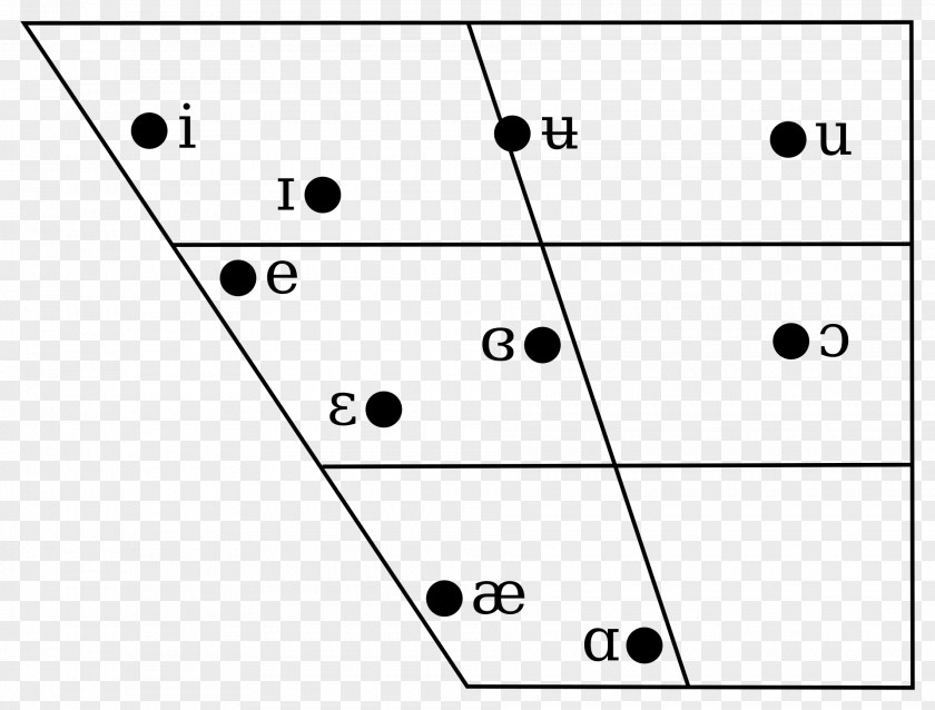 Vowel Length Epenthesis Finnish Phonology PNG