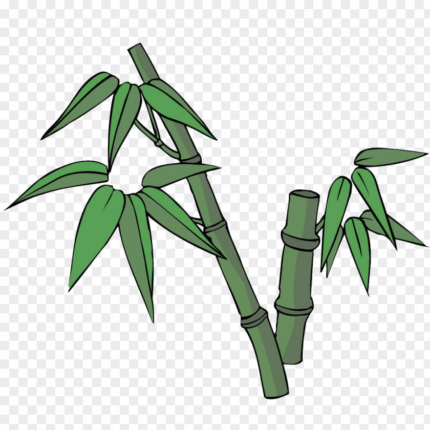 Bamboo Icon Cartoon Illustration PNG