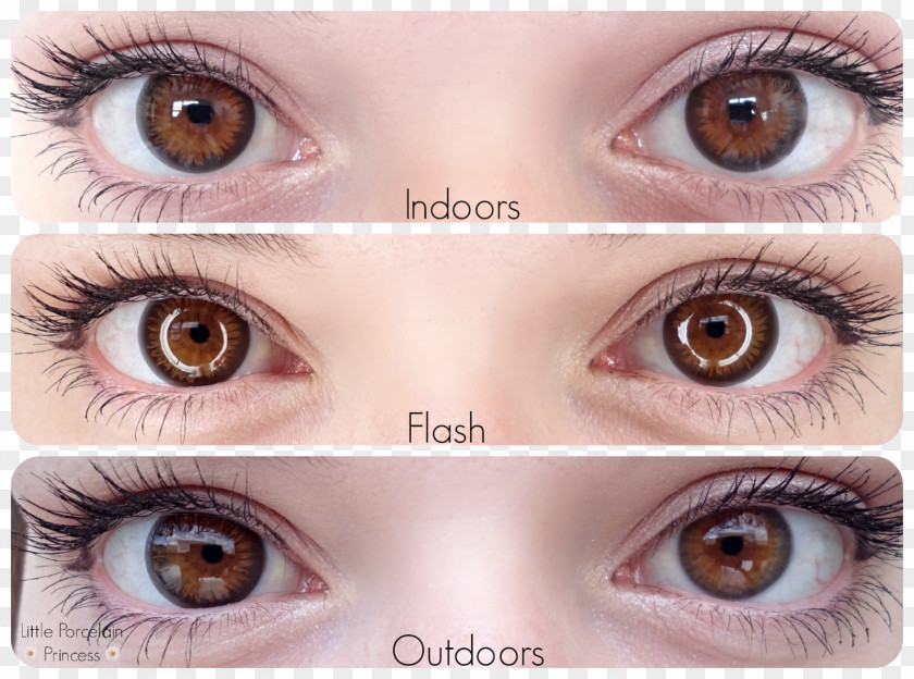 Eye Eyebrow Contact Lenses Acuvue Color PNG