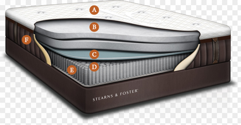 Mattress Firm Sealy Corporation Tempur-Pedic Pads PNG