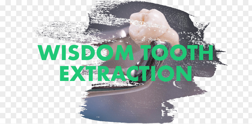 Tooth Extraction Wisdom Dentist Human Dental PNG