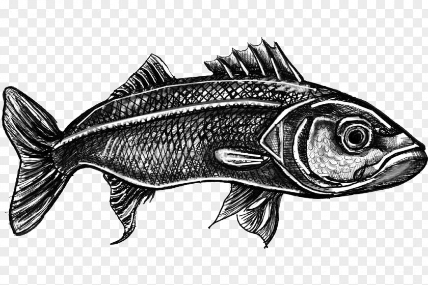Fish Products Sesimbra Swordfish Black Scabbardfish PNG