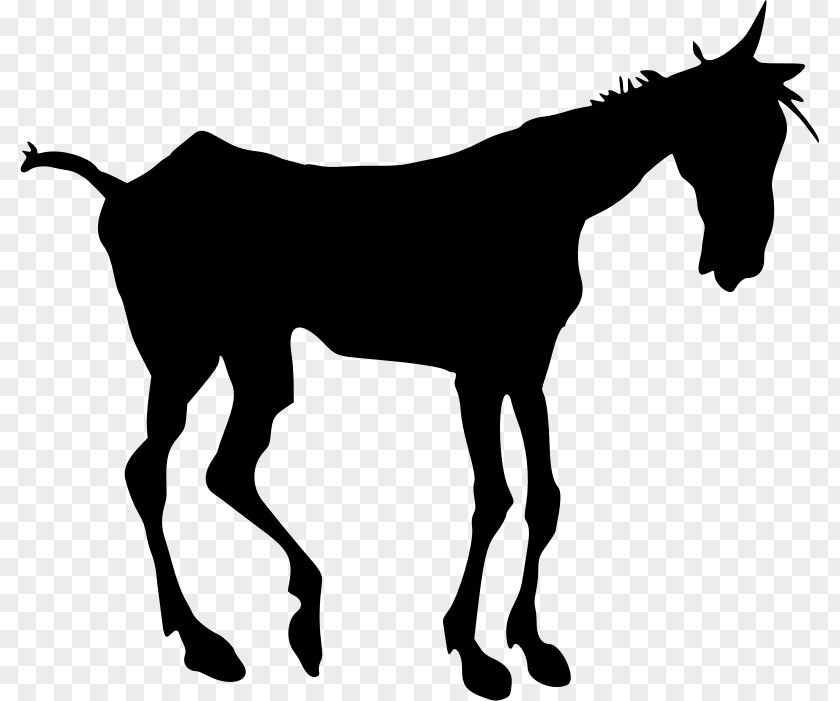 Mustang Mule Silhouette Foal Clip Art PNG