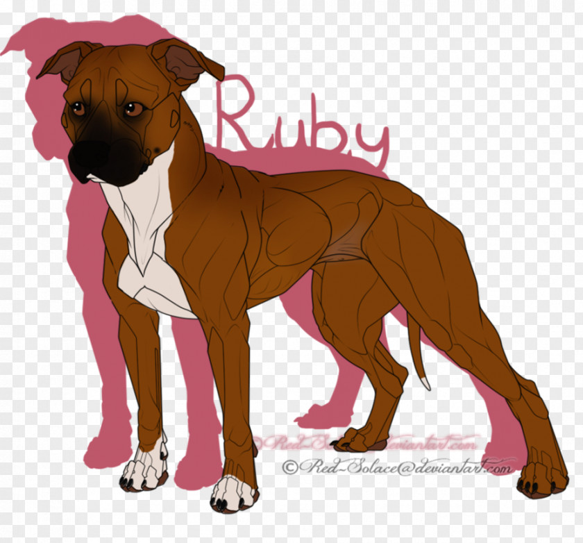 Staffordshire Bull Terrier Dog Breed Boxer Snout Crossbreed PNG