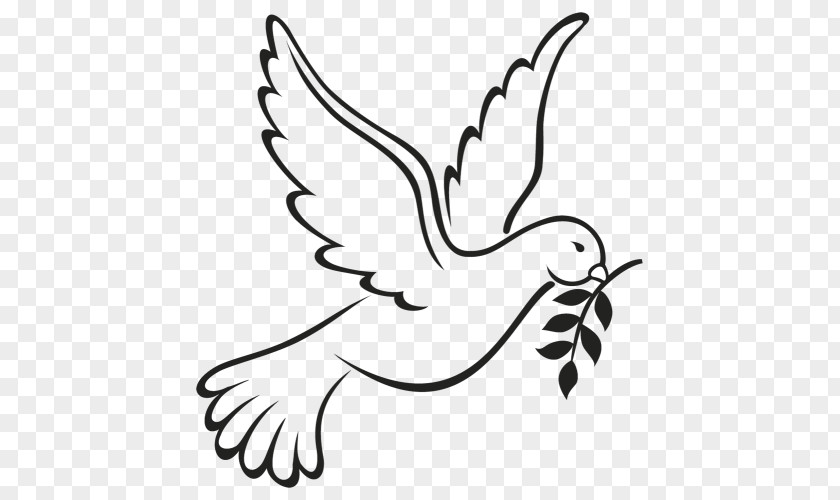 Symbol Columbidae Doves As Symbols Peace Vector Graphics PNG