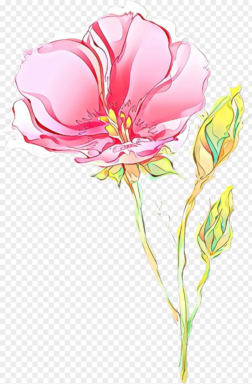 Tulip Plant Stem Flower Petal Flowering Pink PNG