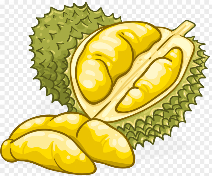 Artocarpus Plant Fruit Durian Starfruit Natural Foods PNG