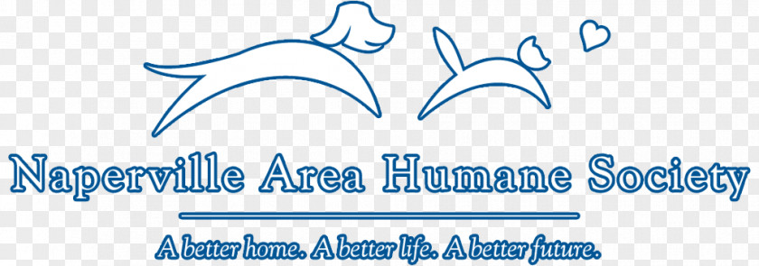 Cat Naperville Area Humane Society Siberian Husky Adoption Animal Shelter PNG