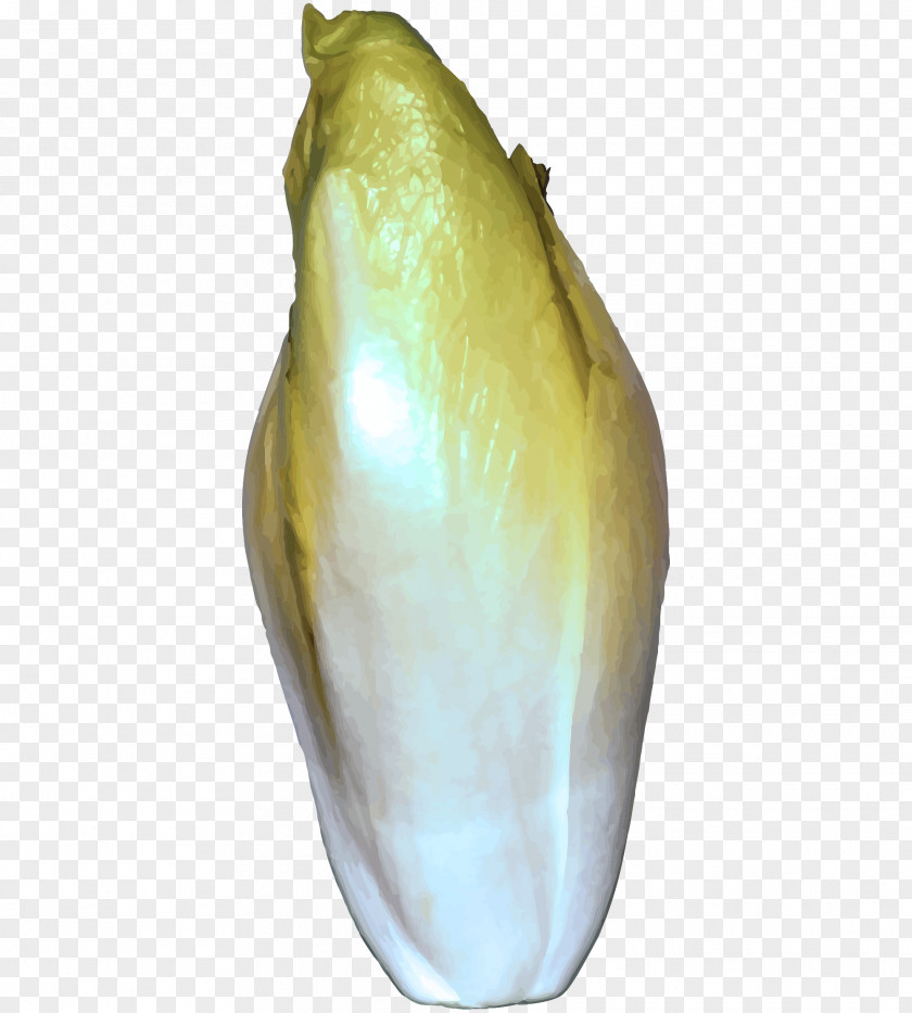 Plant Vegetable PNG