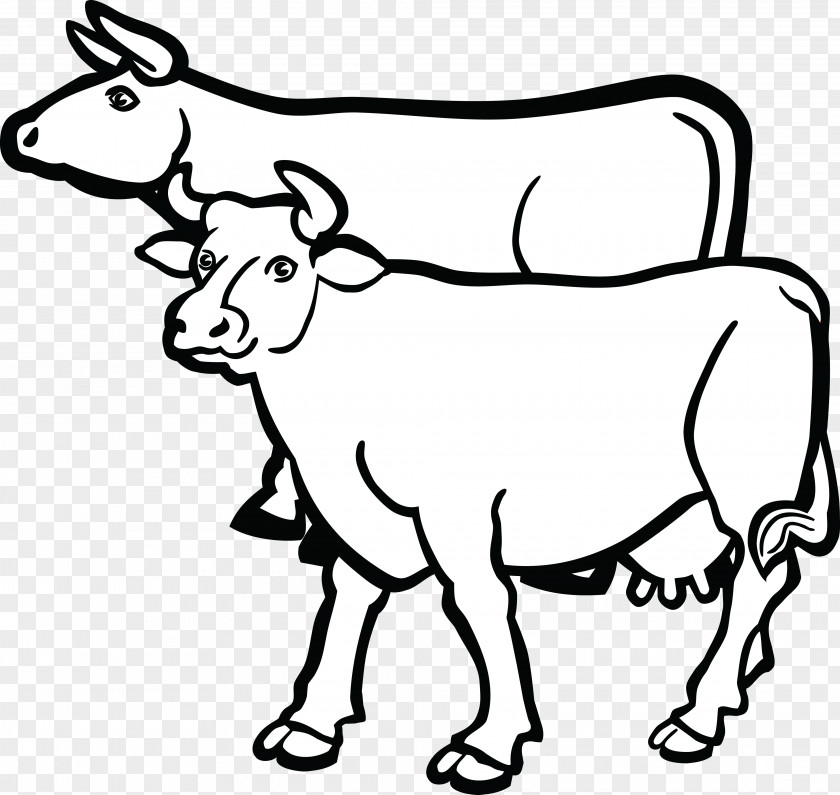 Barnyard Holstein Friesian Cattle Beef British White Clip Art Vector Graphics PNG