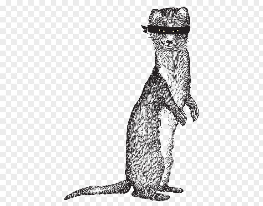 Beer Weasels Whiskers Lager Mammal PNG