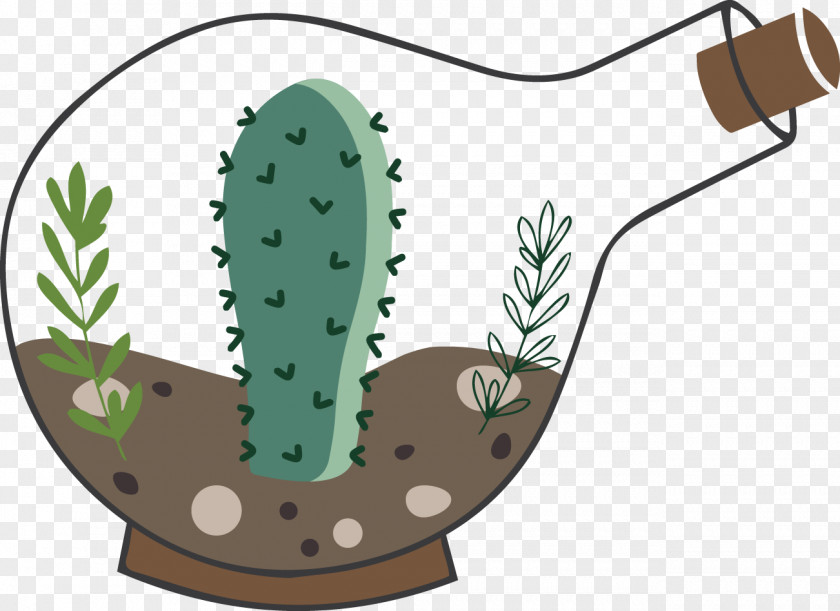 Cactus Bulb Botanical Illustration PNG