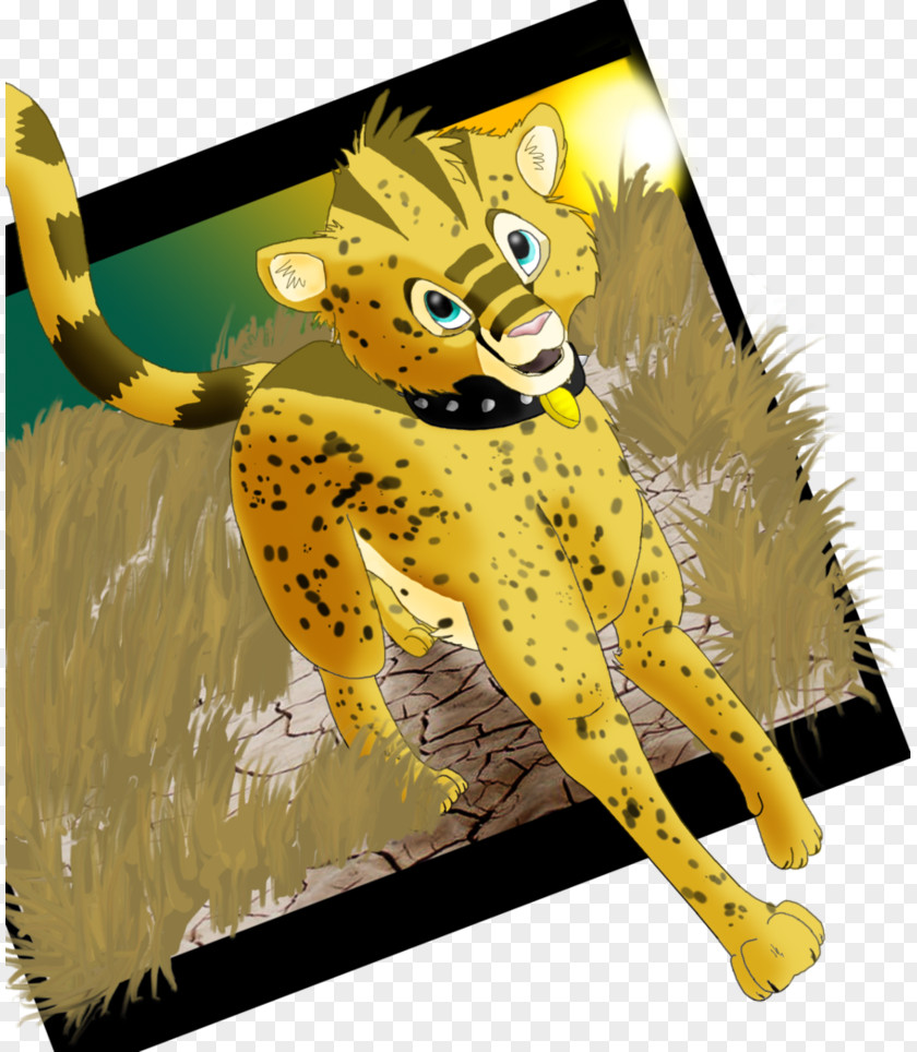 Cheetah Cat Mammal Carnivora Animal Fauna PNG