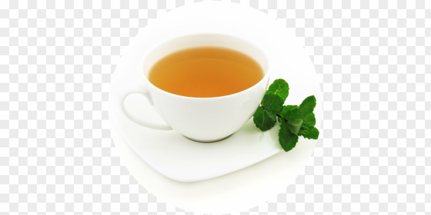 Green Tea Flavors Herbal Drink PNG