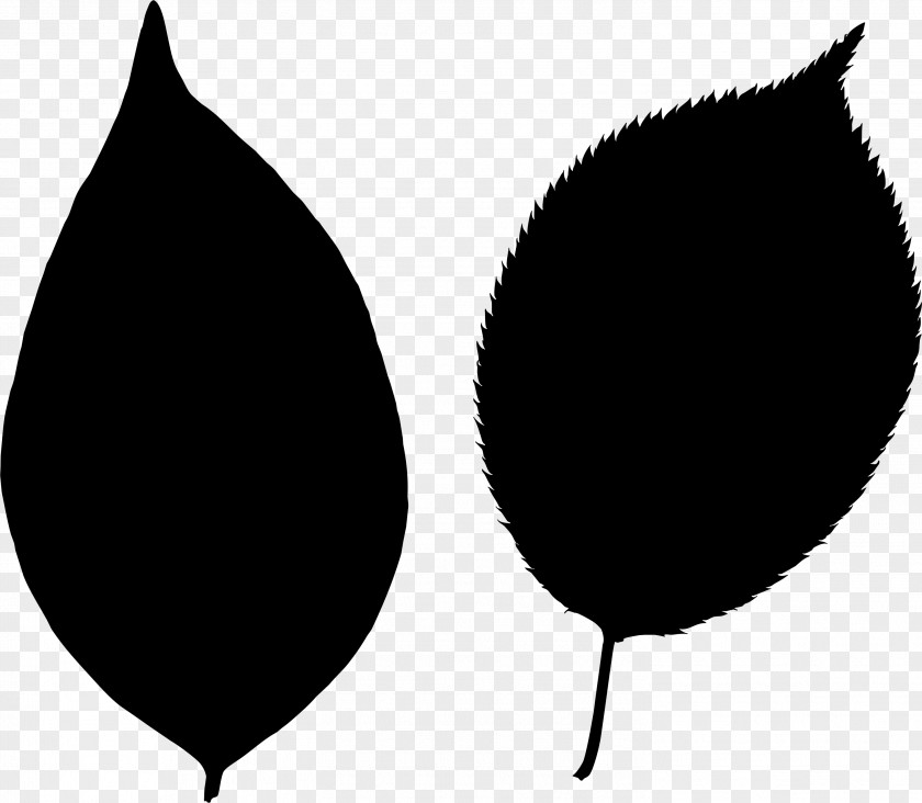 M Leaf Font Silhouette Line Black & White PNG