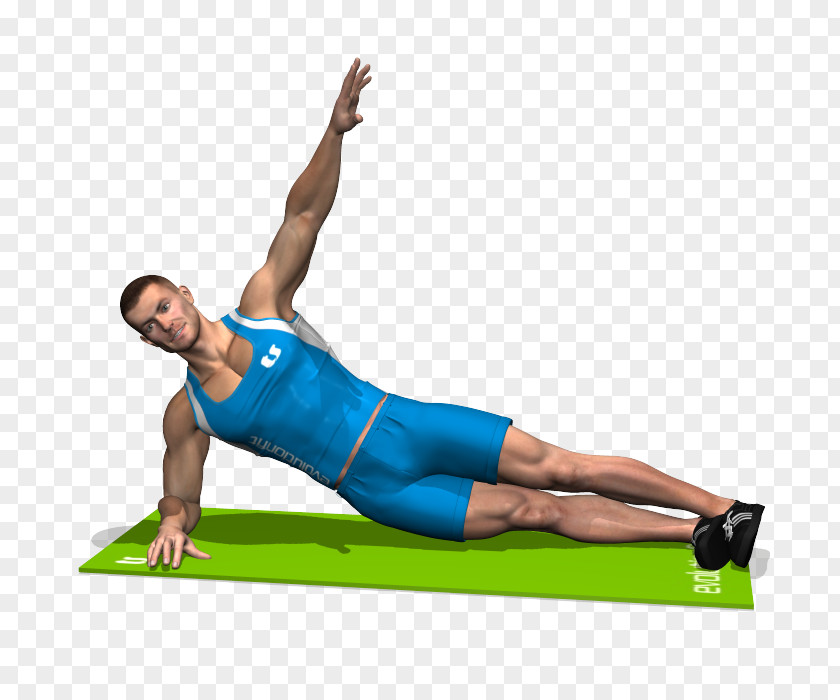 Plank Fitness Pilates Rectus Abdominis Muscle Abdomen Abdominal External Oblique PNG