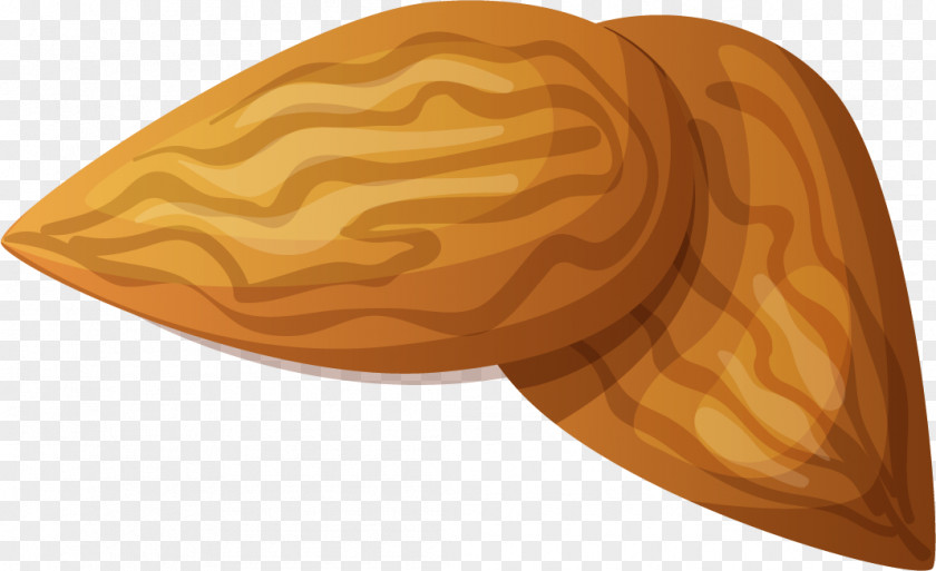 Vector Hand-painted Almond Euclidean PNG