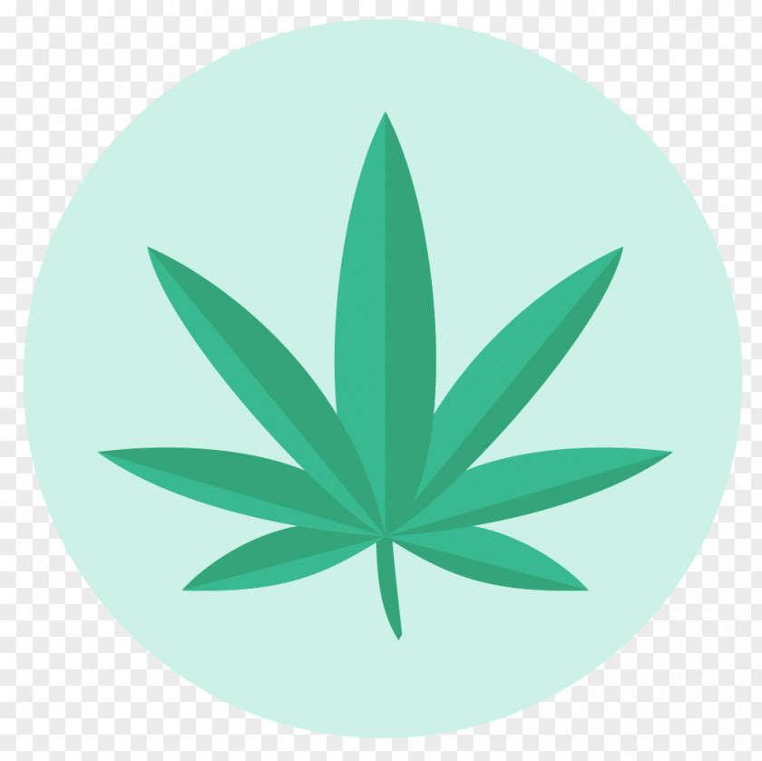 Cannabis Kush Trulieve Medical Dispensary PNG