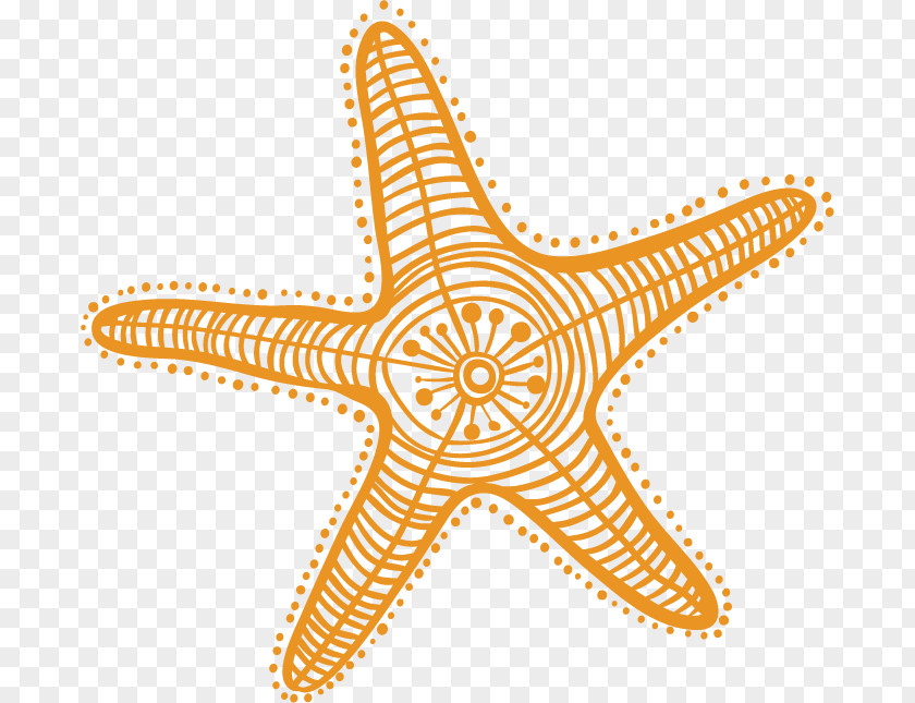 Cartoon Starfish Drawing Clip Art PNG