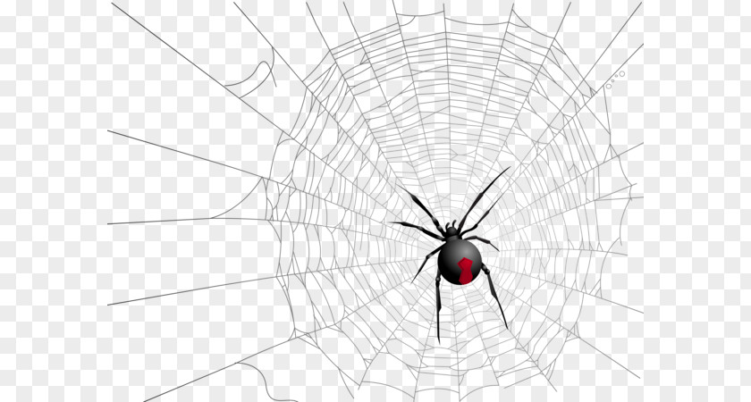 Halloween Spider Web Widow Spiders Insect Symmetry Pattern PNG