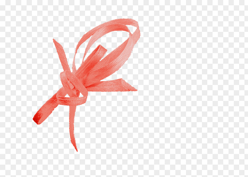 Hat Ribbon Hadleigh Fuchsia Pink PNG